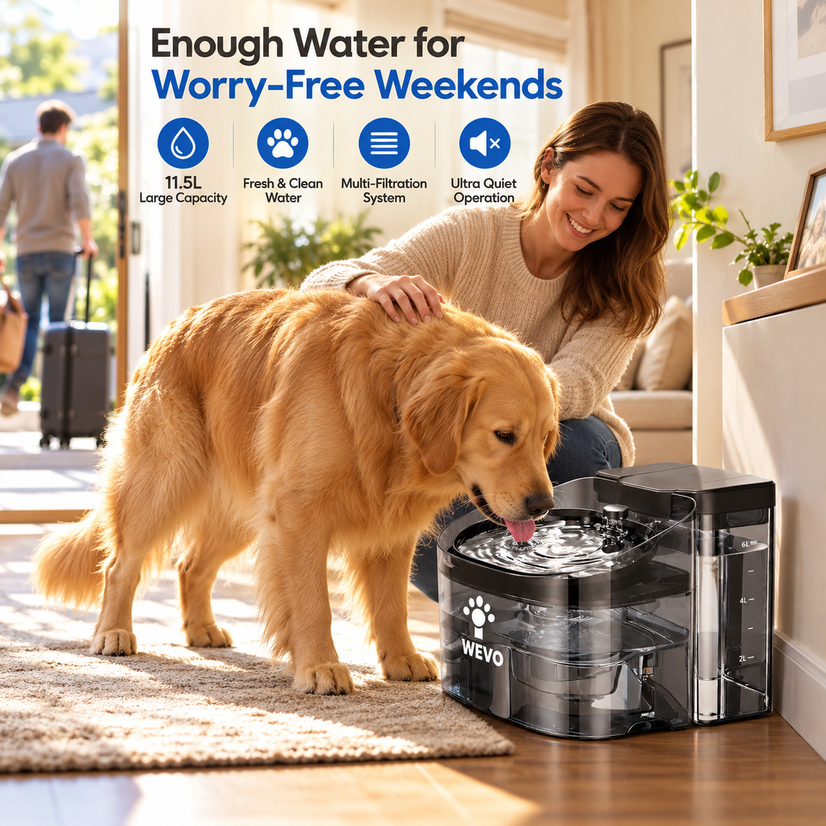 11.5L Large Dog Water Fountain with Automatic Flow & Filtration