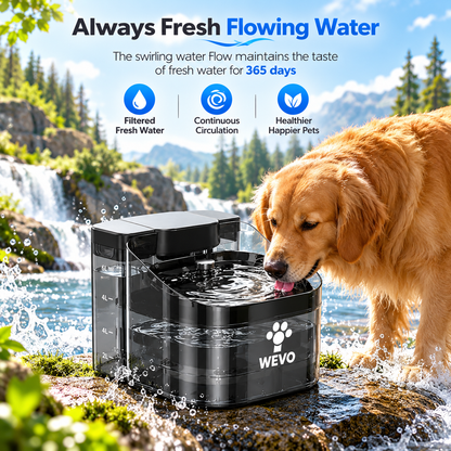 11.5L Large Dog Water Fountain with Automatic Flow & Filtration
